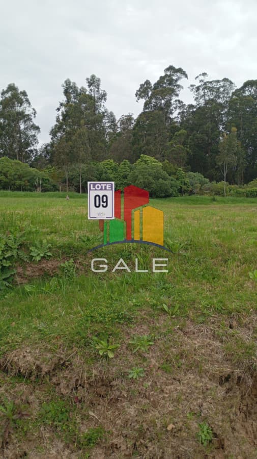 Gale Propiedades & Escribanía Terreno ID.4617 - Terreno en barrio privado - Punta Ballena