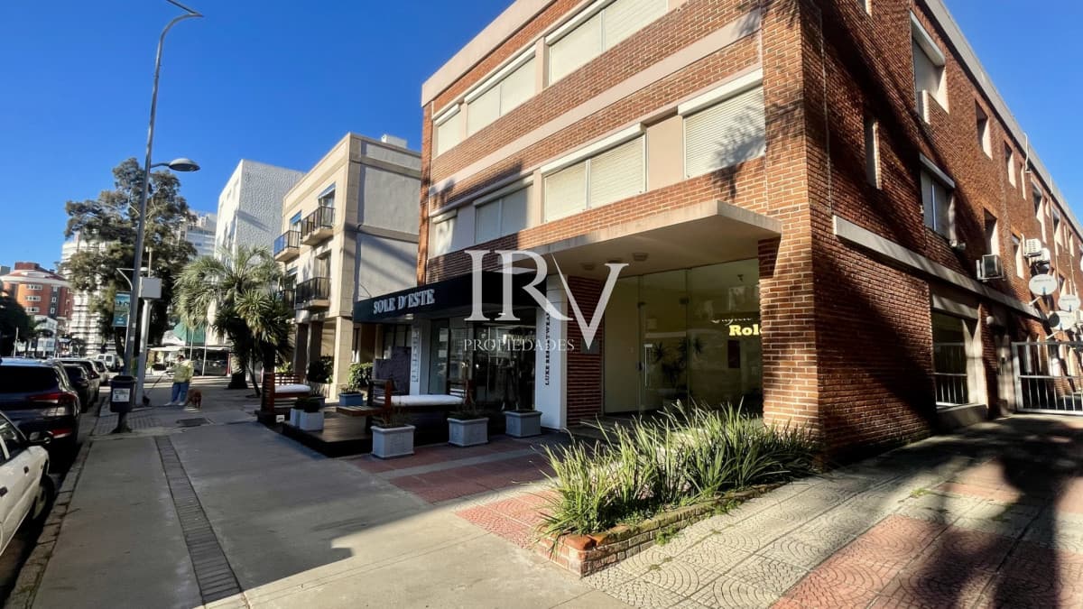 IRV PROPIEDADES Apartamento ID.1068 - Apartamento en Venta en Peninsula  1 dorm definido sin cochera