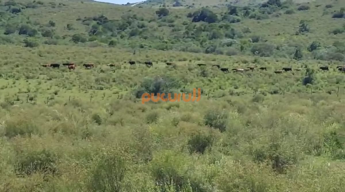 Venta de chacra a 50 km de Maldonado
