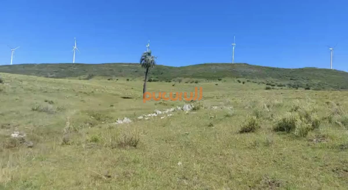 Venta de chacra a 50 km de Maldonado