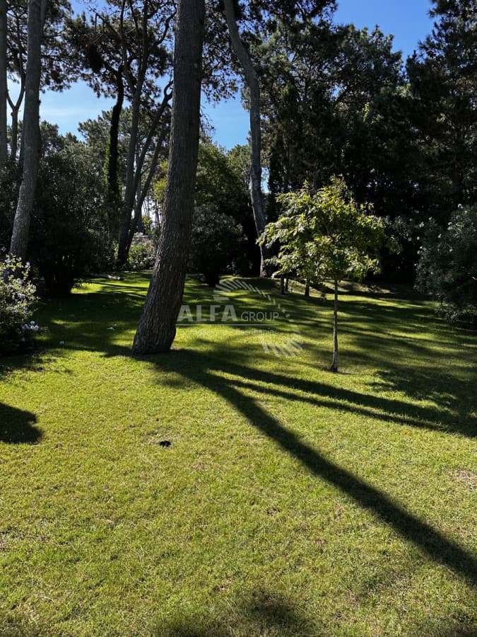 Venta terreno punta del este