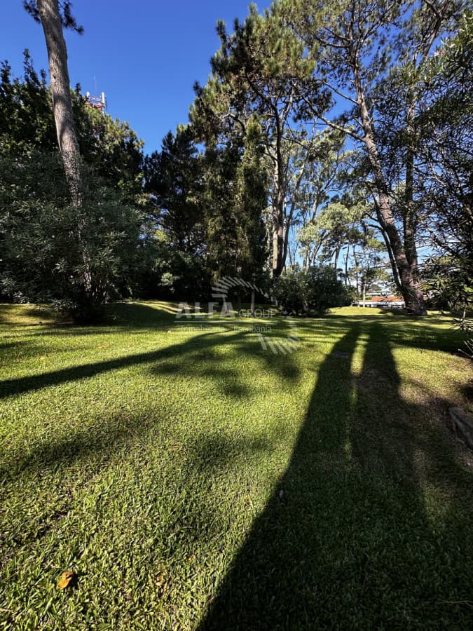 Venta terreno punta del este