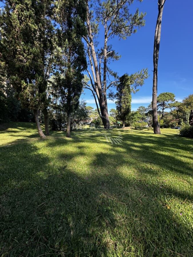 Venta terreno punta del este