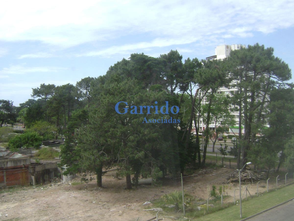Apartamento en Punta del Este, Roosevelt