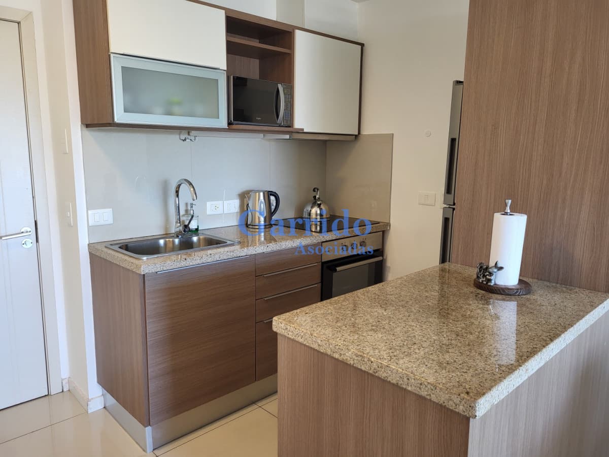 Apartamento en Punta del Este, Roosevelt