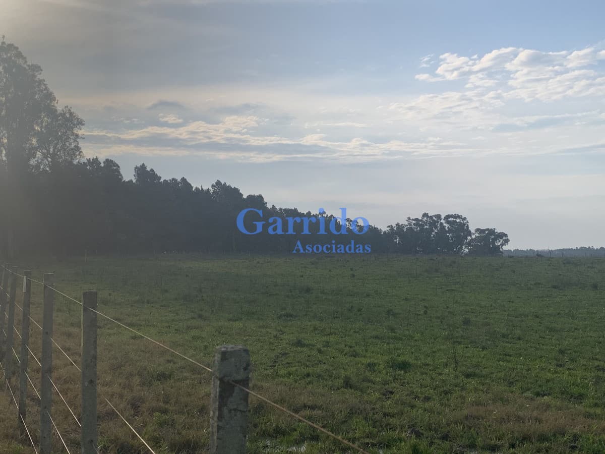 Chacra sobre Ruta 104