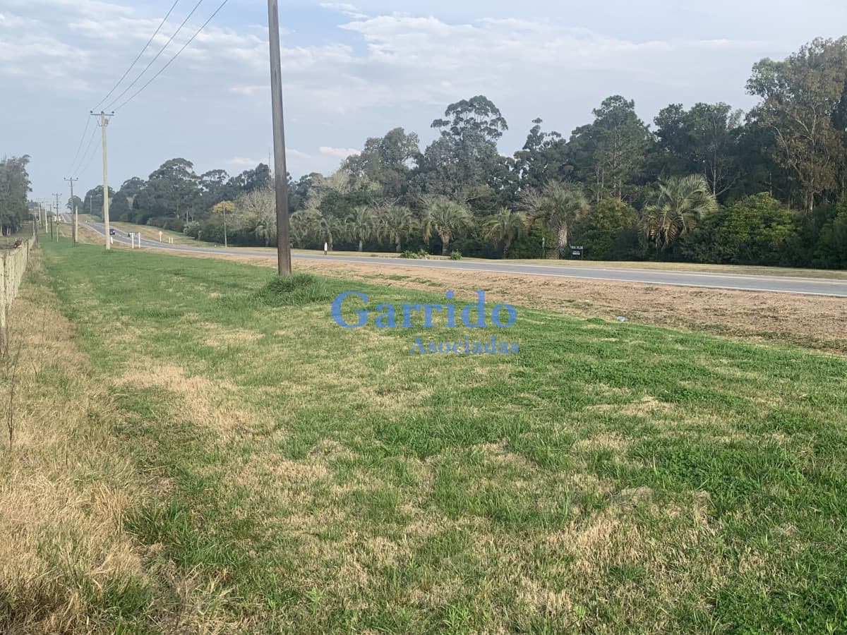 Chacra sobre Ruta 104