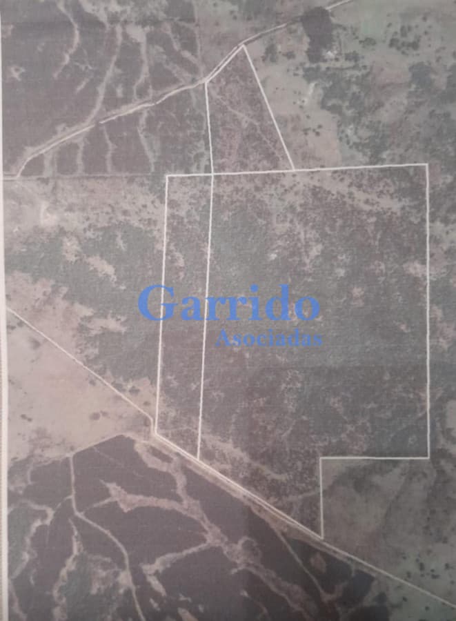 Campo a la venta