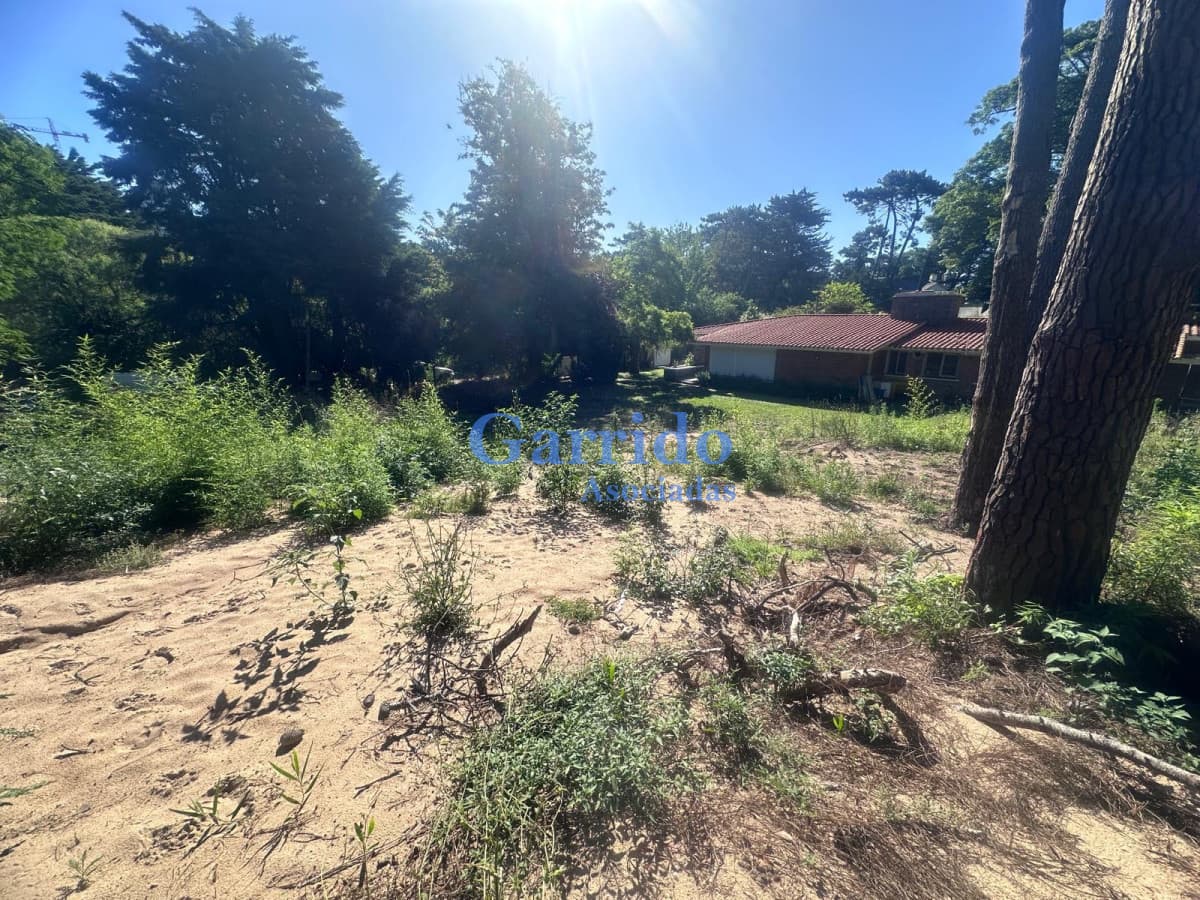 Terreno en corazón de Cantegril