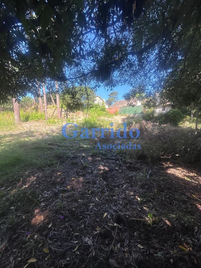 Terreno en corazón de Cantegril