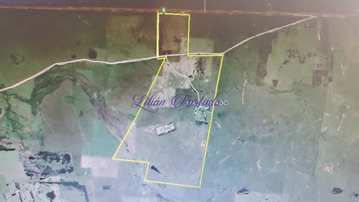 En venta 200 hectáreas al lado de hotel Fasano, ideal para fraccionamiento. - Lilian Furtado Negocios Inmobiliarios