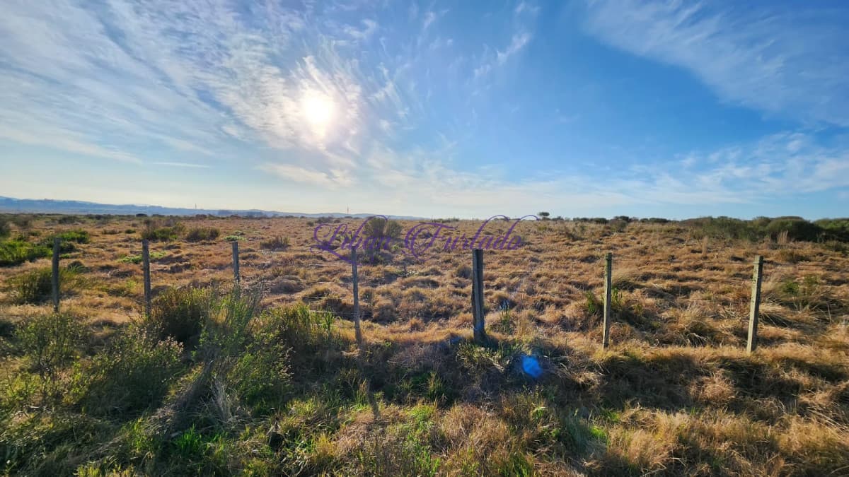 En venta 200 hectáreas al lado de hotel Fasano, ideal para fraccionamiento. - Lilian Furtado Negocios Inmobiliarios