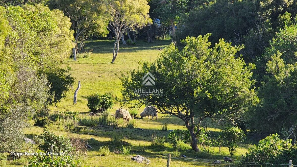 Chacra ID.3989 - Venta chacra en las Cañas 3 dormitorios