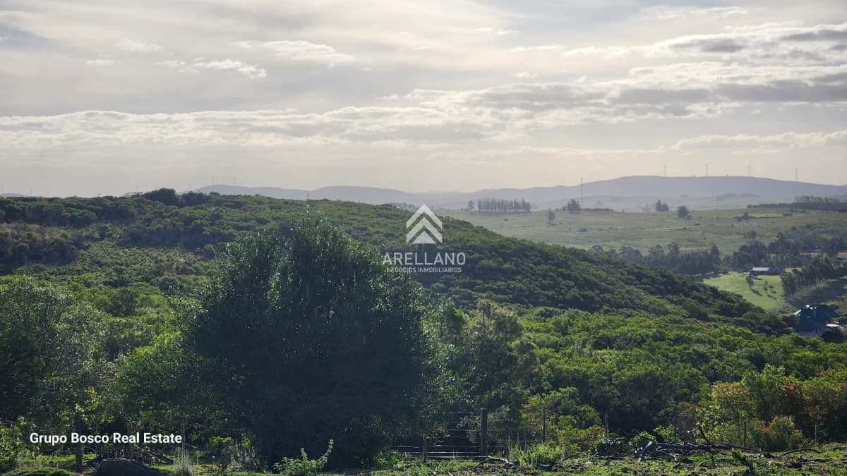 Chacra ID.3989 - Venta chacra en las Cañas 3 dormitorios