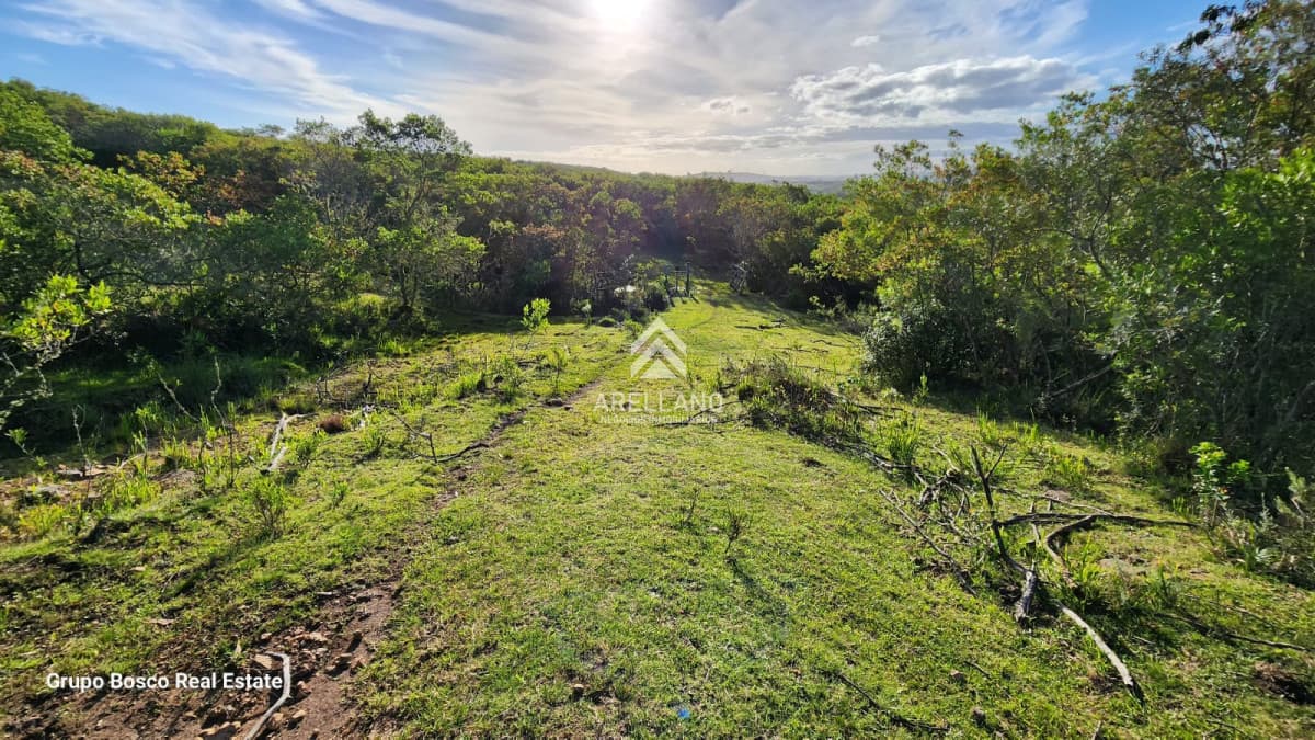 Chacra ID.3989 - Venta chacra en las Cañas 3 dormitorios