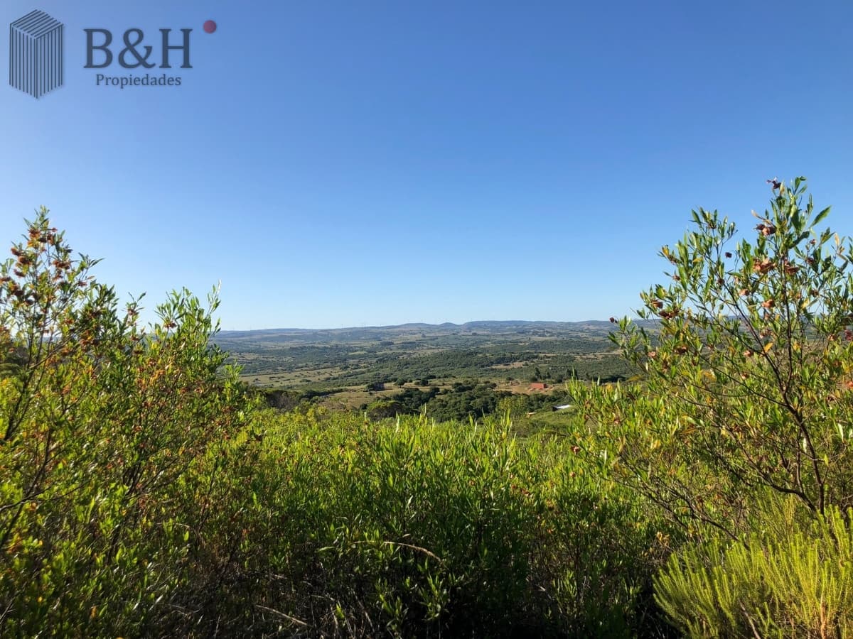 VENTA DE CHACRA EN LAS CAÑAS