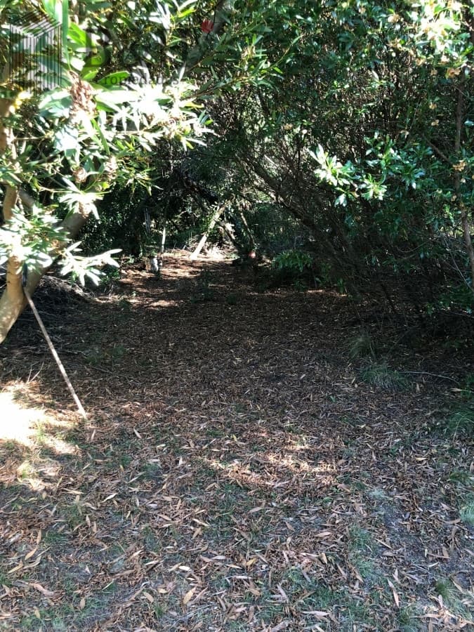 VENTA DE CHACRA EN LAS CAÑAS