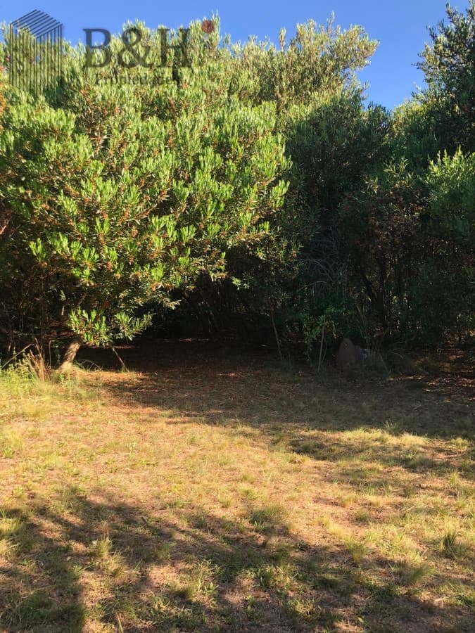 VENTA DE CHACRA EN LAS CAÑAS