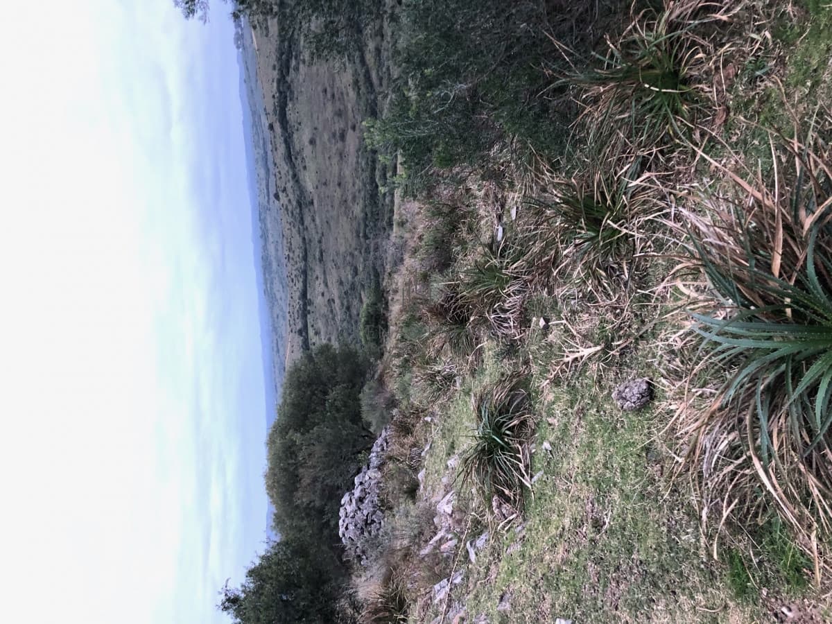 Campo en Maldonado