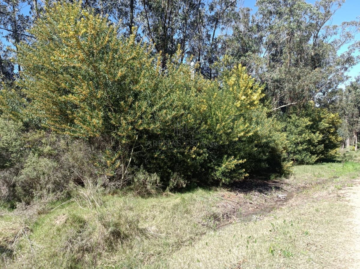 Terreno ID.470 - Terreno en venta en Maldonado