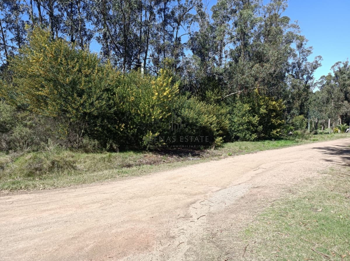 Terreno ID.470 - Terreno en venta en Maldonado
