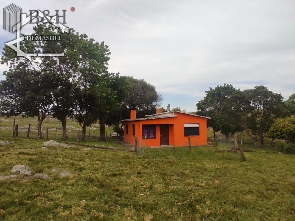 11 has 8000 M2 con casa proximidades Pan de Azúcar