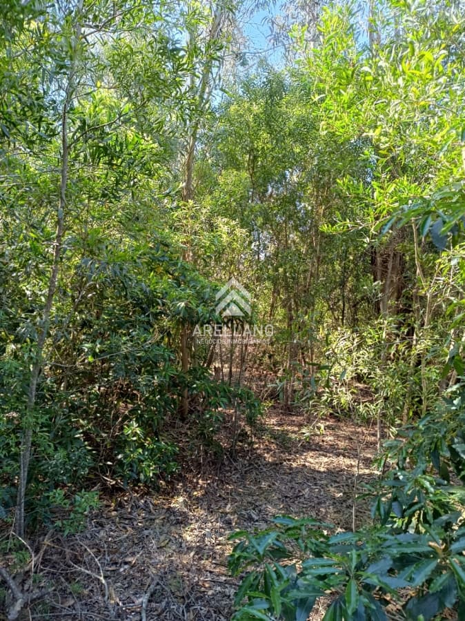 Terreno ID.2900 - Venta terreno Ocean Park 1008 m2