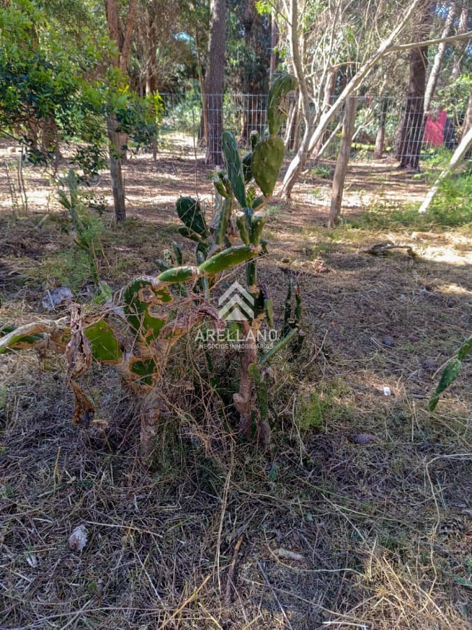 Terreno ID.2891 - Venta terreno Ocean Park