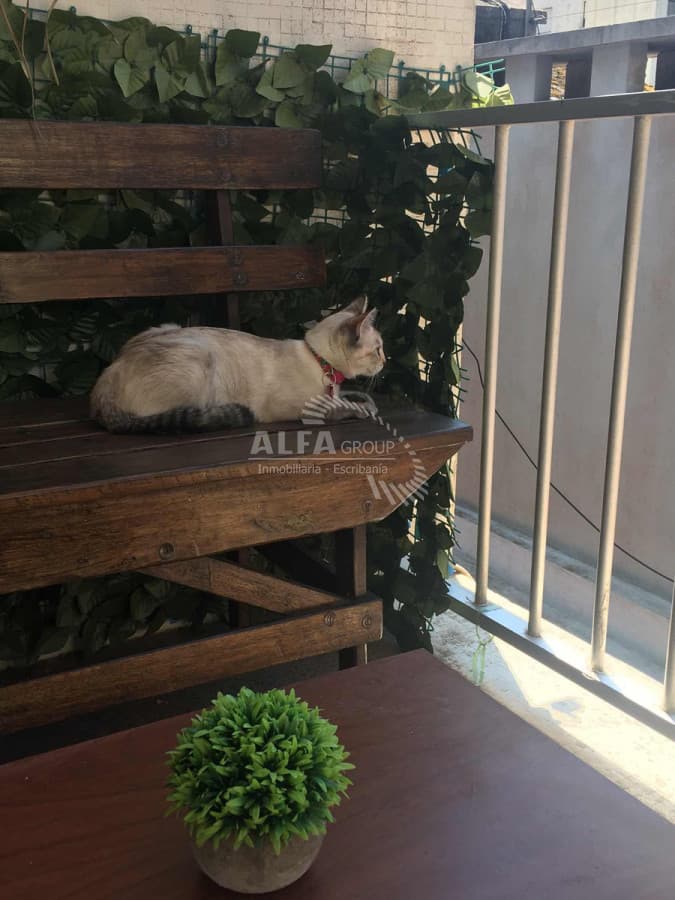 Vendo Apartamento, 1 dormitorio, Península, Punta del este, Maldonado