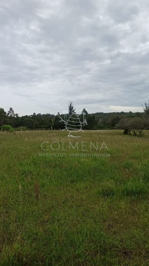 Chacra 11 has con casa