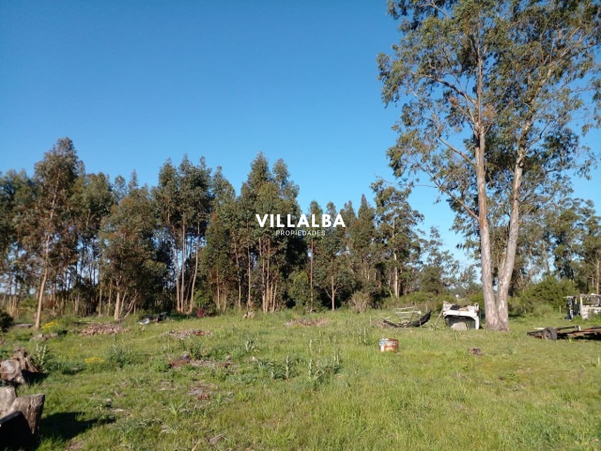Chacra en La Pataia con mejoras