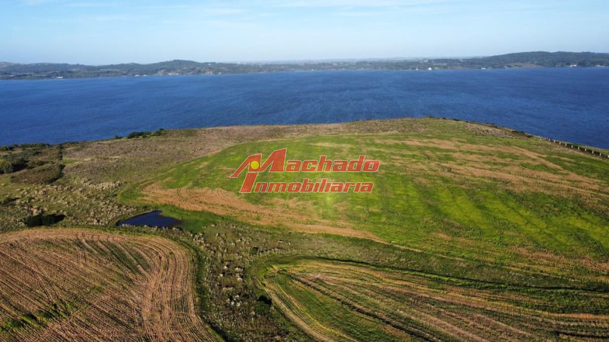 Venta de chacra en Punta del Este