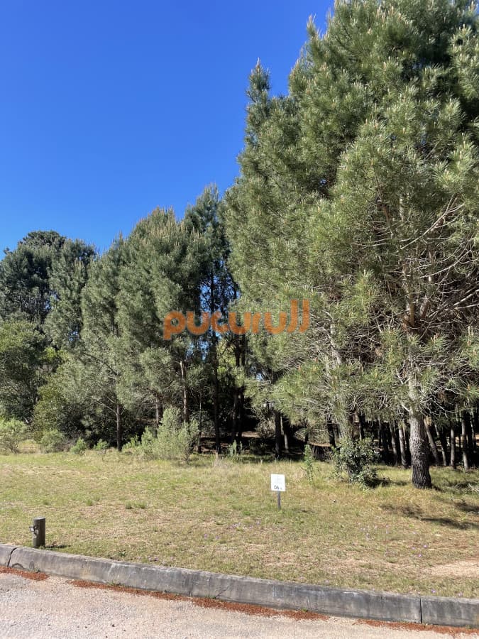 Terreno en Punta Ballena, Solanas