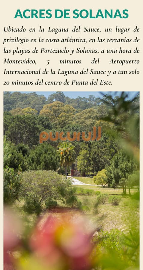 Terreno en Punta Ballena, Solanas