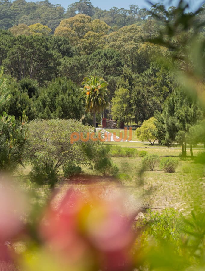 Terreno en Punta Ballena, Solanas