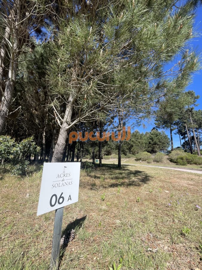 Terreno en Punta Ballena, Solanas