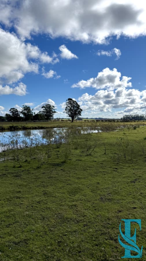 Chacra Campo 5 Hectareas con Casa en Jose Ignacio a 10 Minutos de la Laguna Jose Ignacio