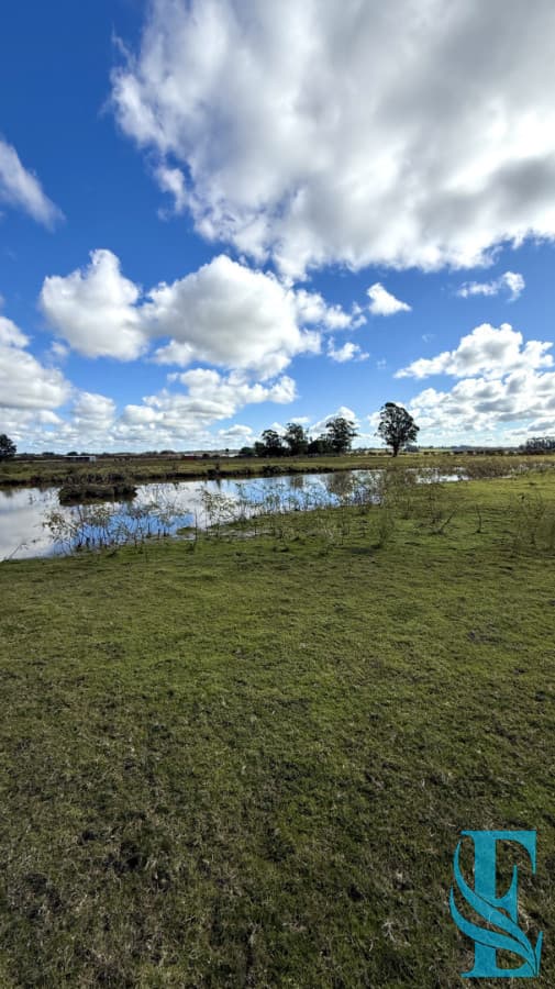 Chacra Campo 5 Hectareas con Casa en Jose Ignacio a 10 Minutos de la Laguna Jose Ignacio