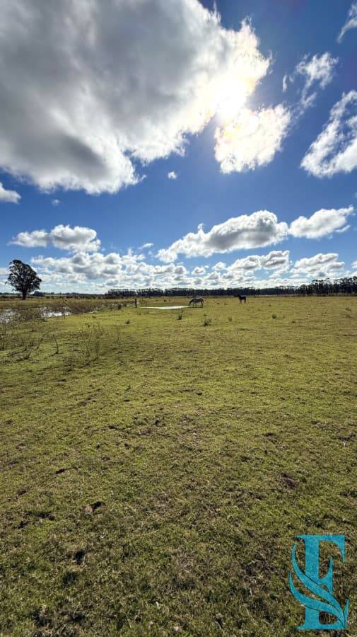 Chacra Campo 5 Hectareas con Casa en Jose Ignacio a 10 Minutos de la Laguna Jose Ignacio