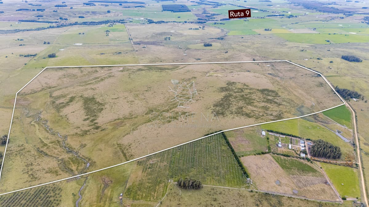 Venta campo 120 hectáreas, Garzón , Maldonado