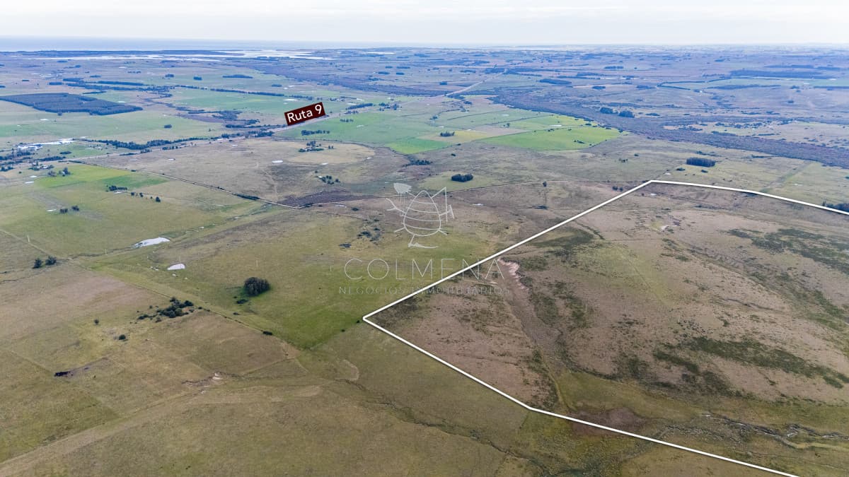 Venta campo 120 hectáreas, Garzón , Maldonado