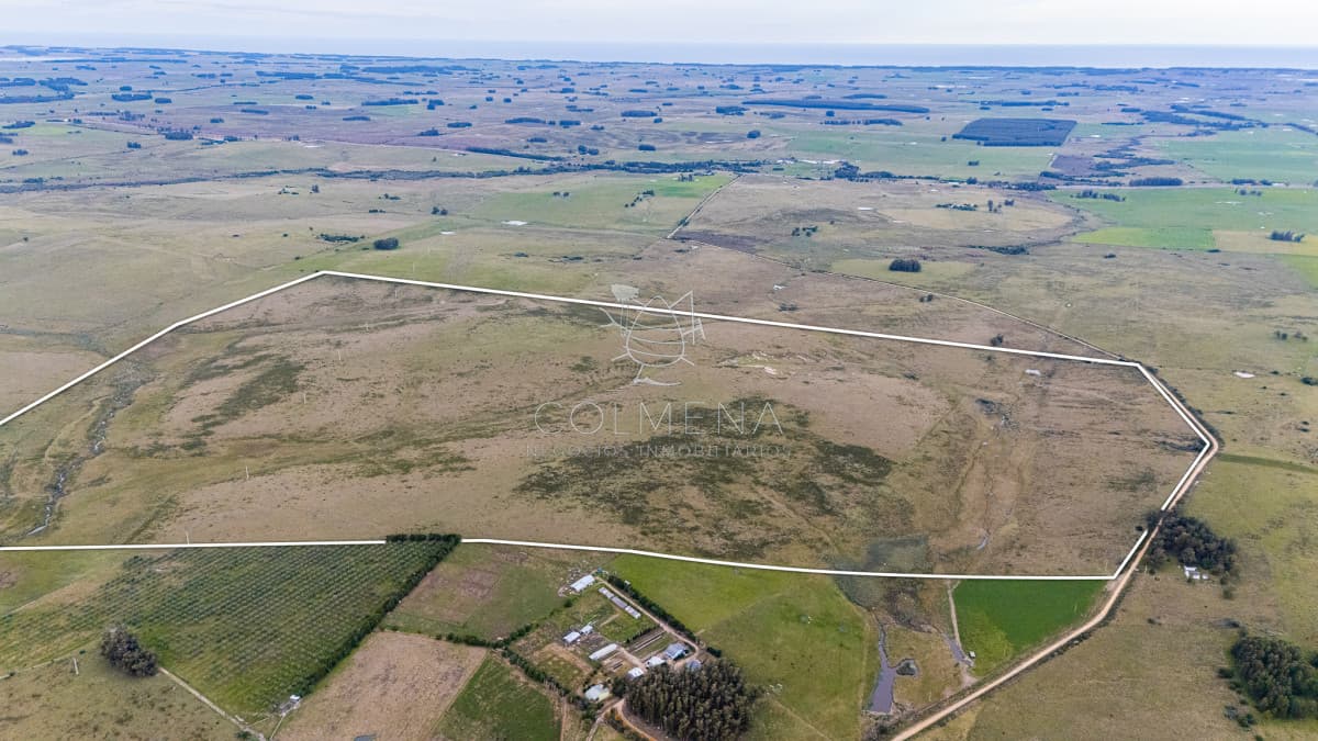 Venta campo 120 hectáreas, Garzón , Maldonado