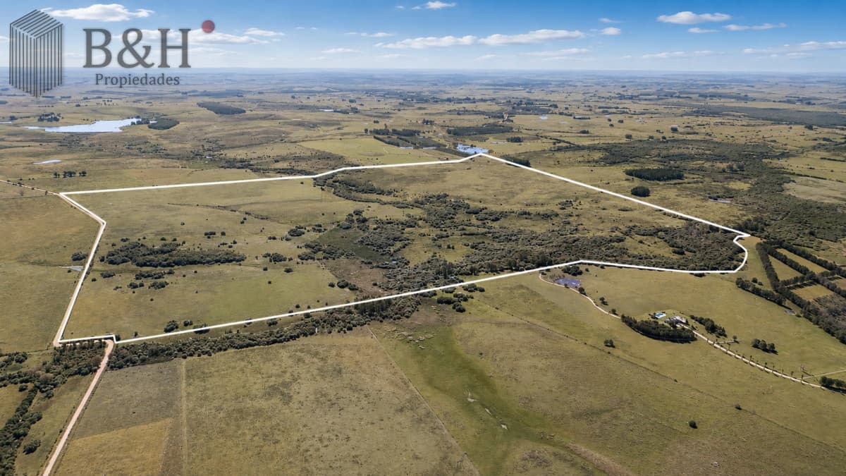 Venta de campo 161 has en Ruta 9, Jose Igancio , Punta del Este