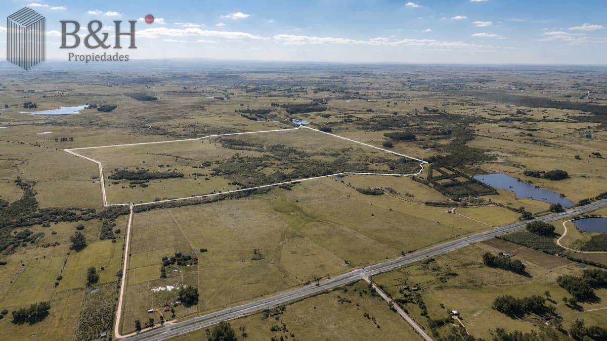 Venta de campo 161 has en Ruta 9, Jose Igancio , Punta del Este