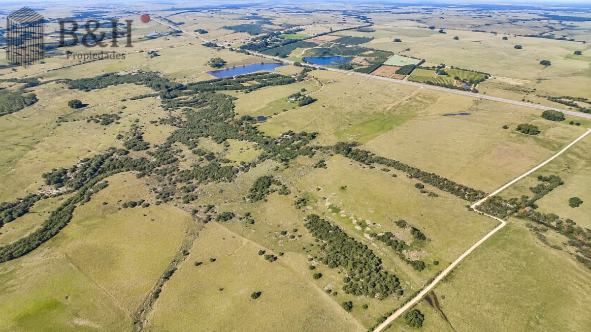 Venta de campo 161 has en Ruta 9, Jose Igancio , Punta del Este