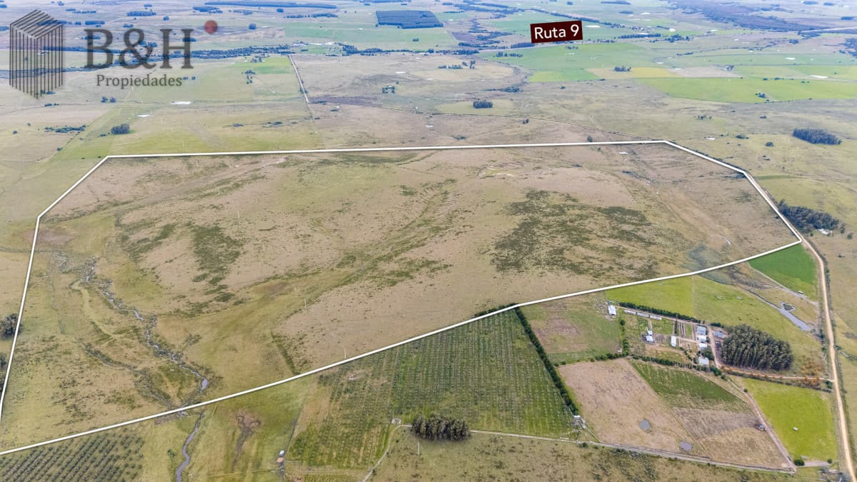 Venta campo 120 hectáreas, Garzón , Maldonado