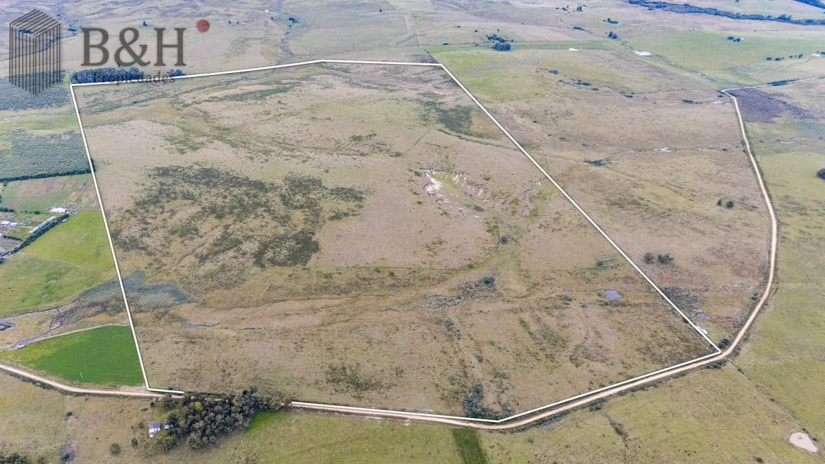 Venta campo 120 hectáreas, Garzón , Maldonado