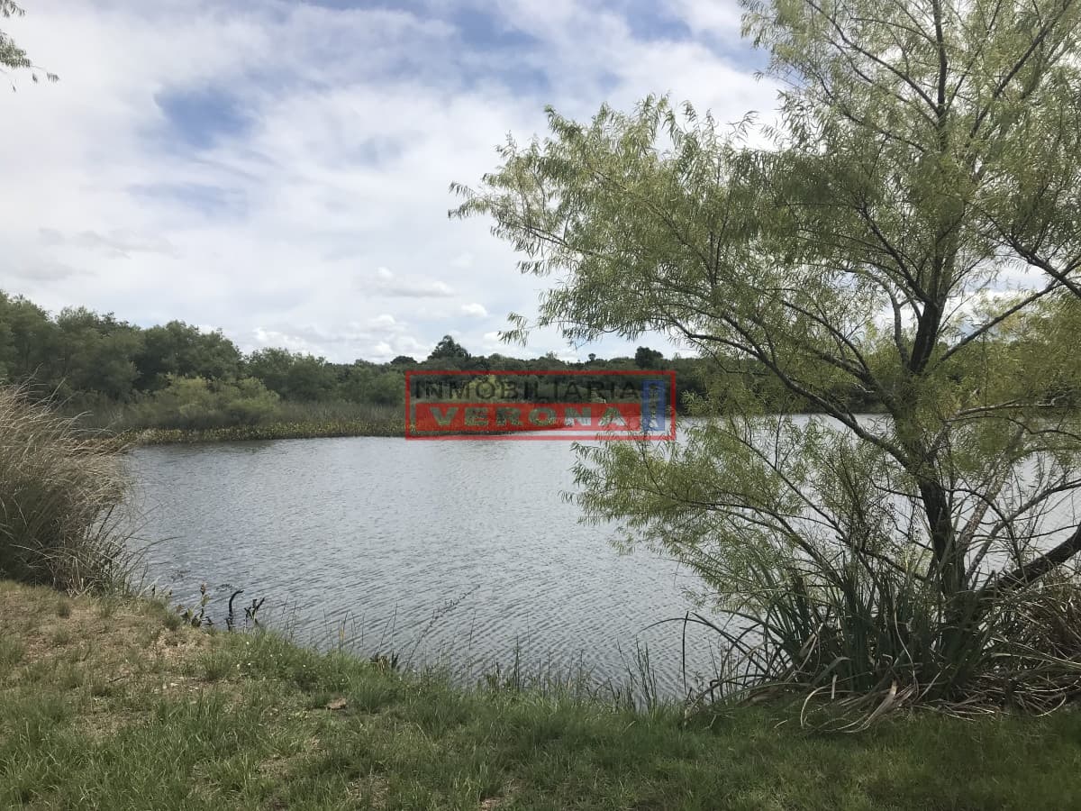 Venta de Chacra sobre ruta 9  a 30 km de Jose Ignacio - Inmobiliaria Verona Punta