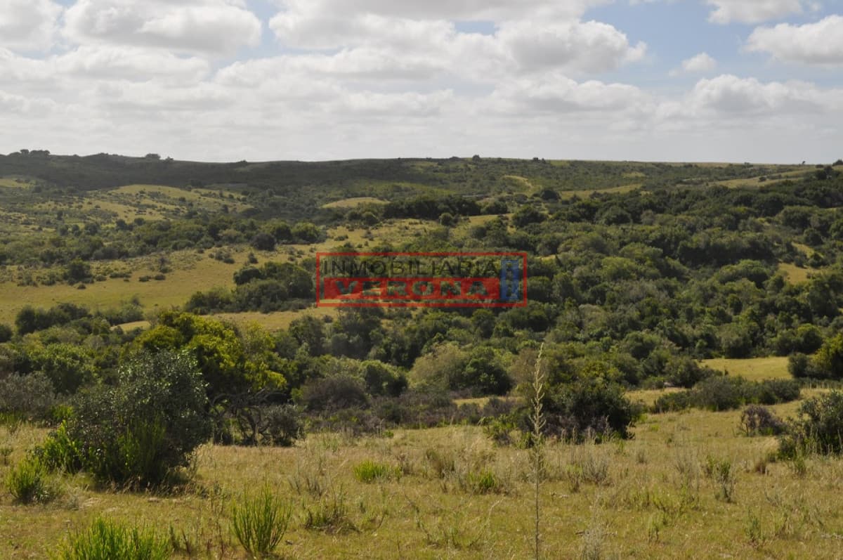 Venta Chacra ubicada en Garzón  - Inmobiliaria Verona Punta