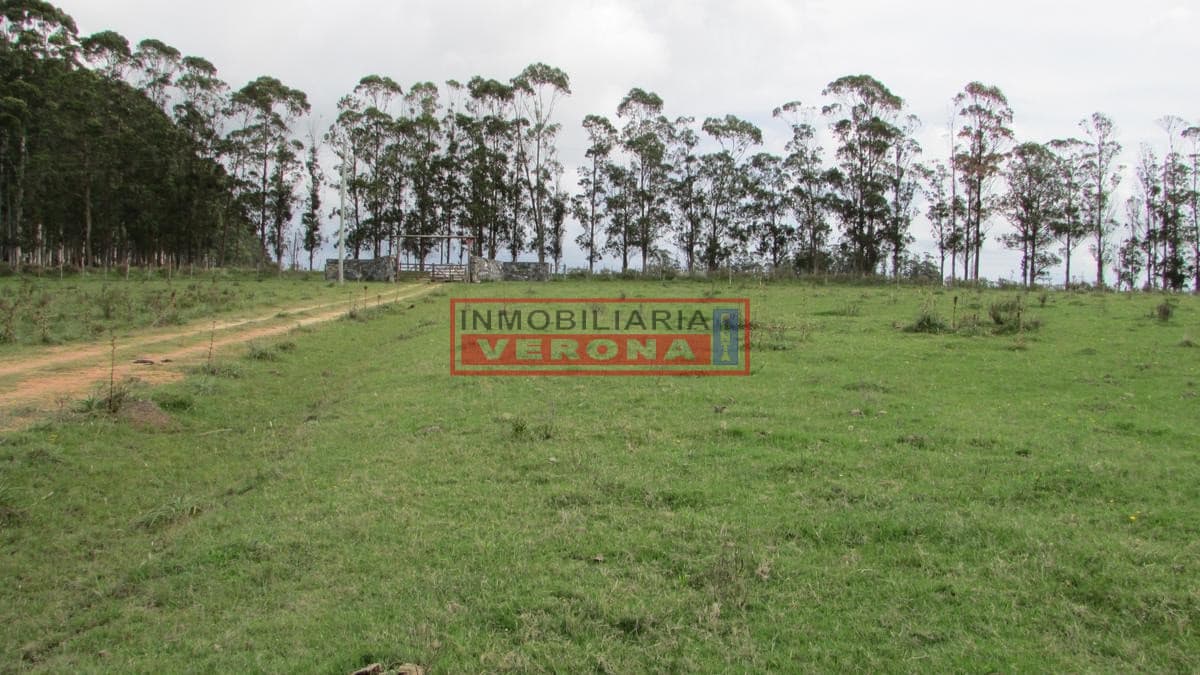 Venta chacra en Altos de  Jose Ignacio 5 has  - Inmobiliaria Verona Punta